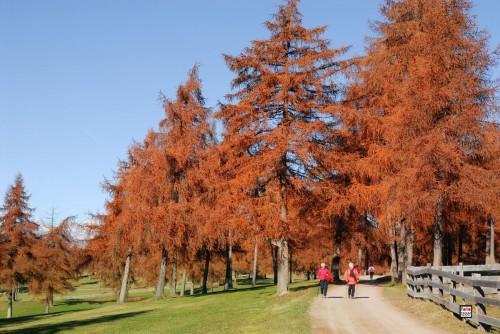 Rastlhof Villa Mölten Dış mekan fotoğraf
